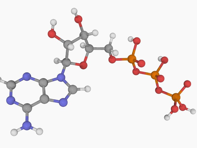 Adenosin