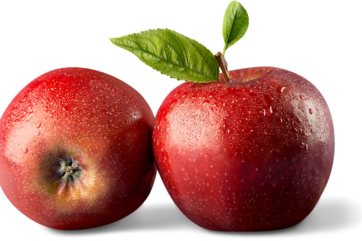 Apfelstammzellen