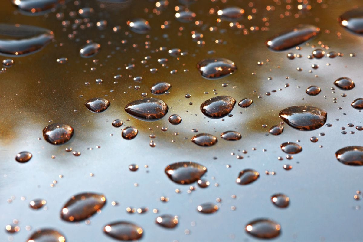 Bronzing Drops