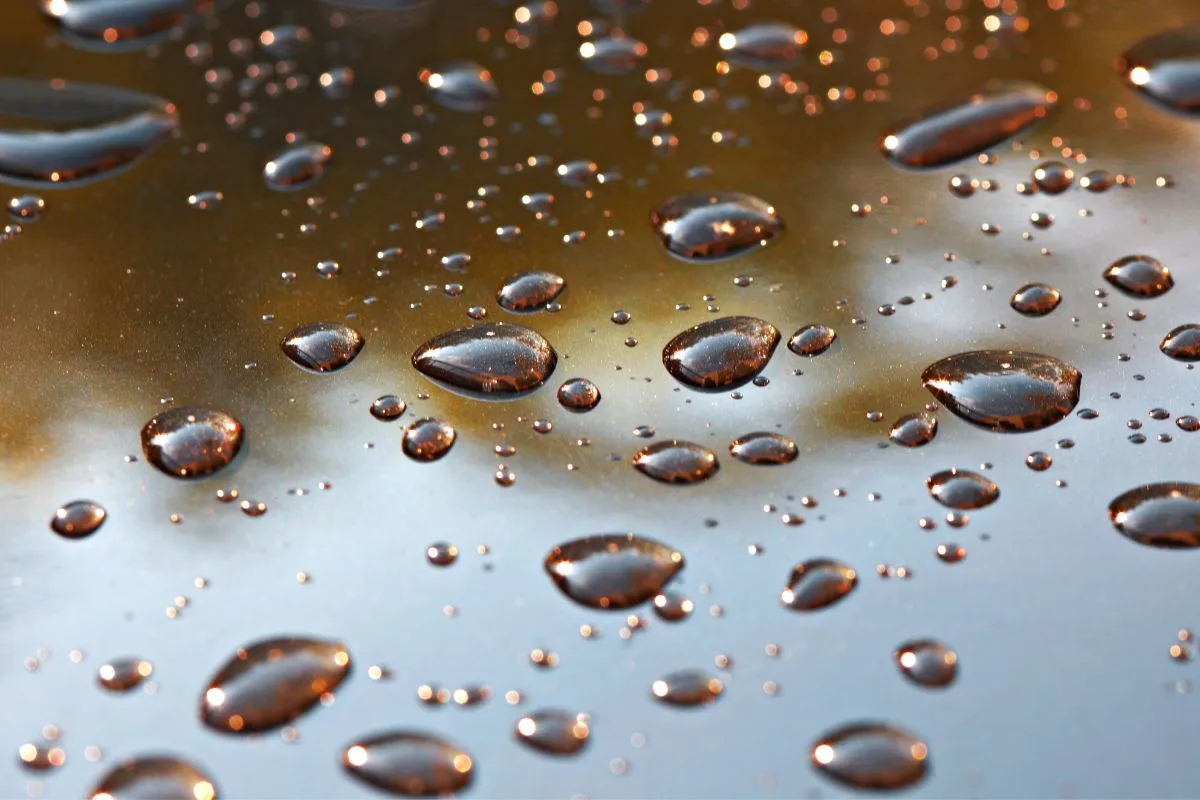Bronzing Drops