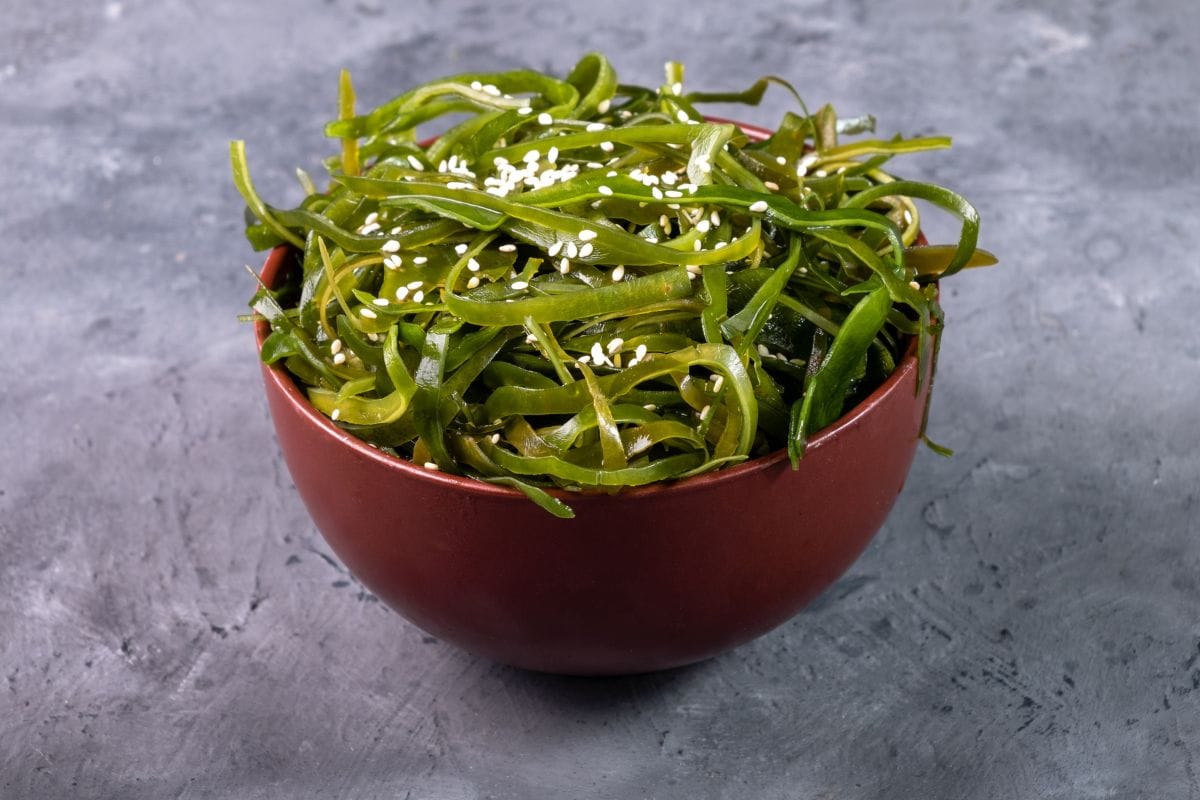 Laminaria