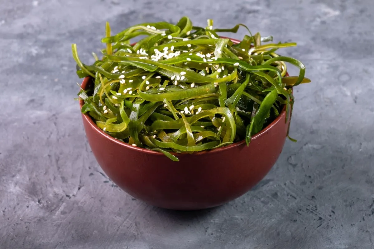 Laminaria