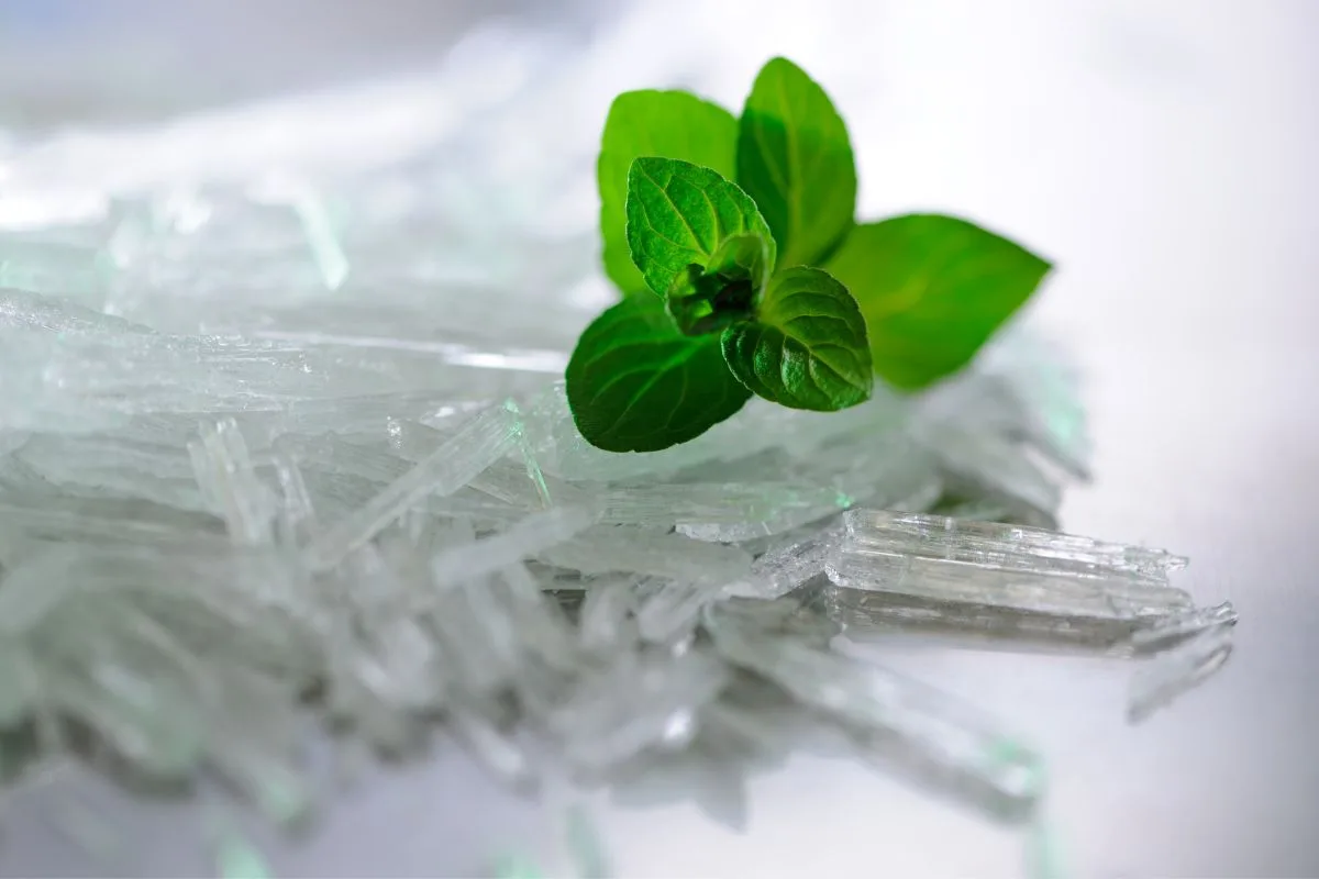 Menthol