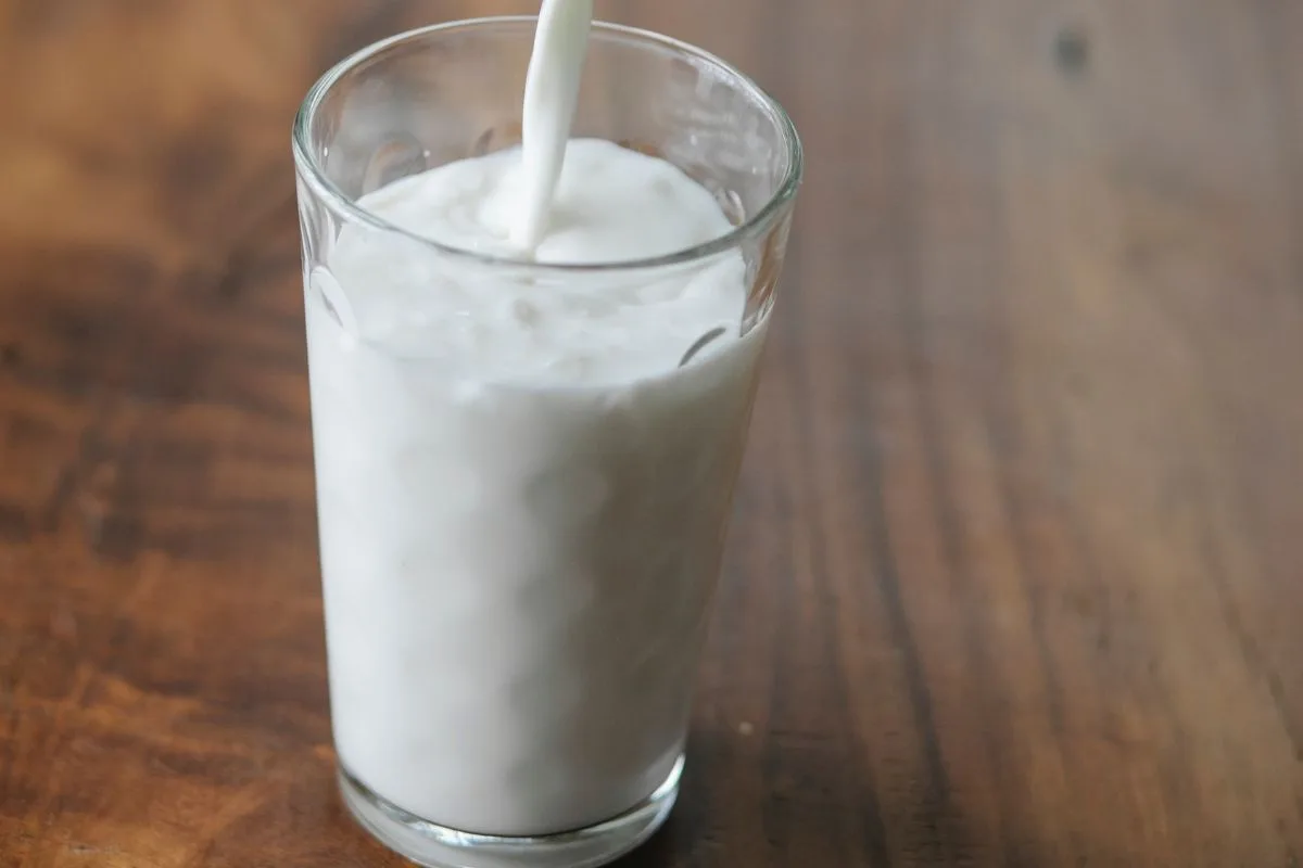 Milchprotein
