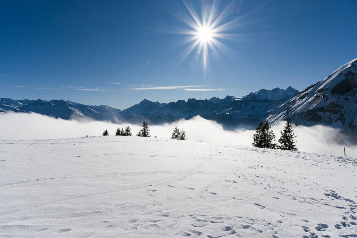 Sonnenschutz im Winter